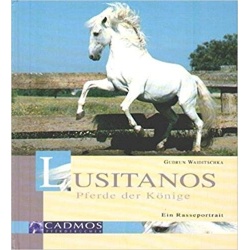 Waiditschka - Lusitanos Waiditschka - Lusitanos