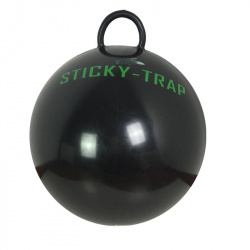Bremsenfalle Sticky Trap - Ball