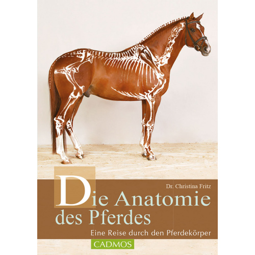 Dr. Fritz - Die Anatomie des Pferdes