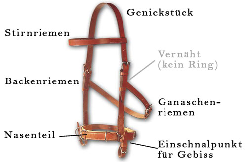 Lederkappzaum